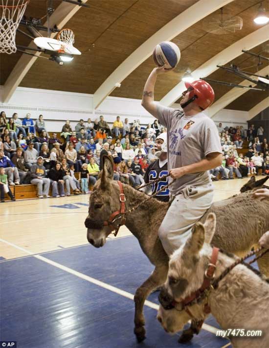 骑驴打篮球,奇事,天下奇闻